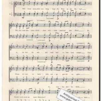 Chormusik des 19. Jahrhunderts