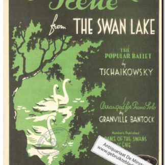 The Swan Lake