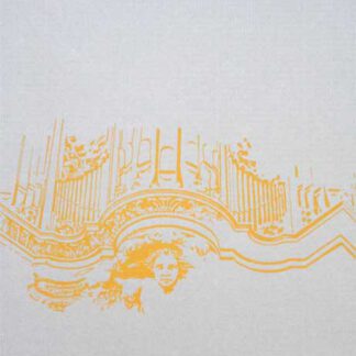 Vijf eeuwen Zwolse orgels