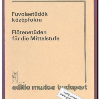 Flotenetuden fur die Mittelstufe