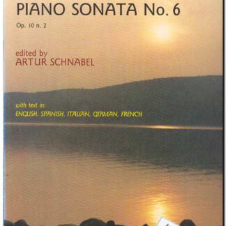 Piano Sonata no. 6 Op 10,2