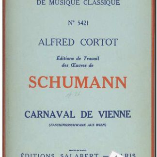 Carnaval de Vienne