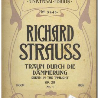 Traum durch die Dammerung opus 29 no. 1 hoch