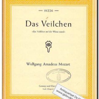 Das Veilchen high/hoch