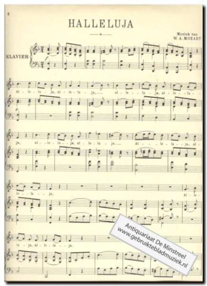 Halleluja - Afbeelding 2