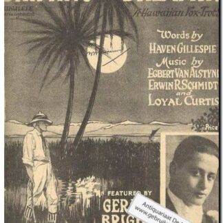 Drifting and dreaming