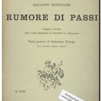 Rumore di Passi